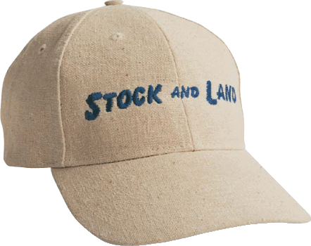 Linen-Ramie Cotton Blend